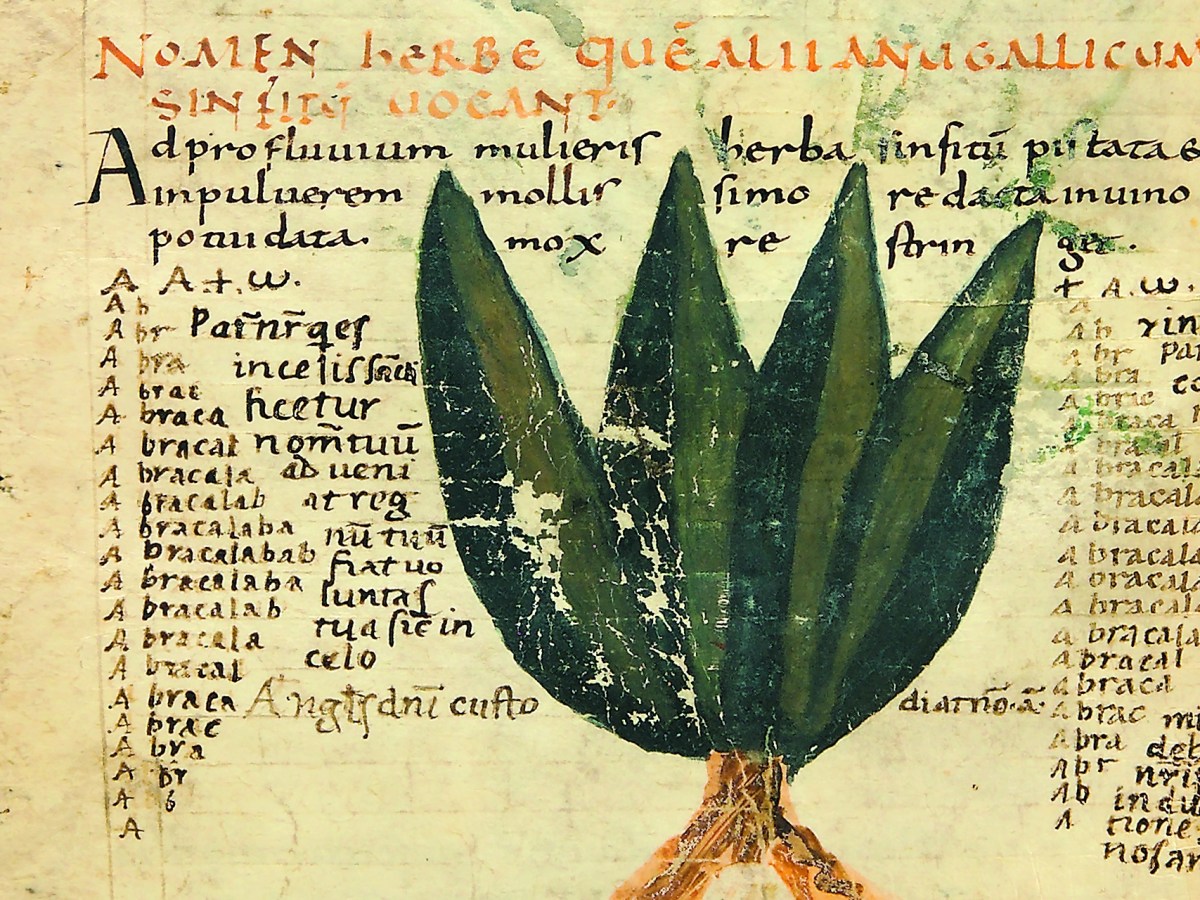 Ritualisierte Praktiken